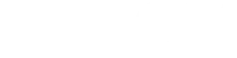 Logo de LCN Automotive