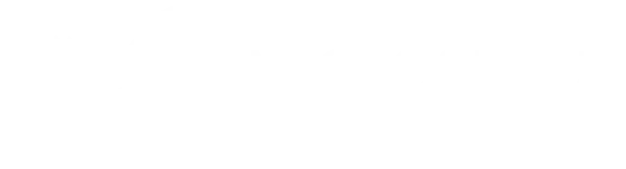 Logo de Micro Segur